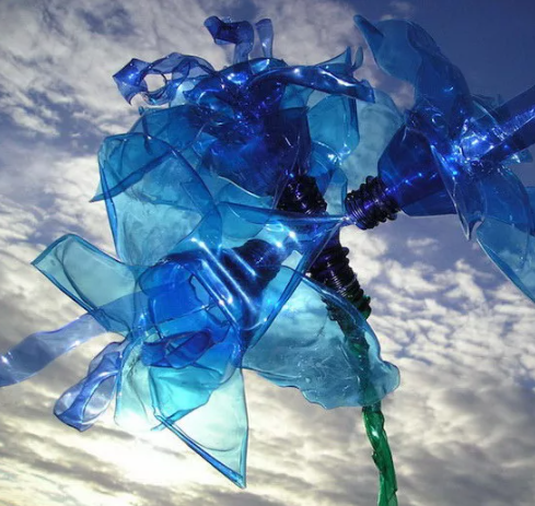 Ученые изобрели новый пластик на основе растений, который заменит привычный нам ПЭТ