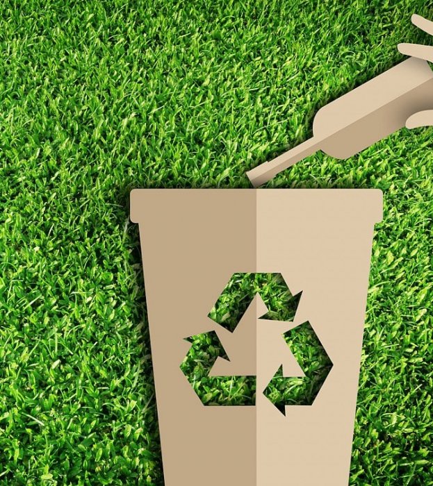 Специалисты из ИТМО выпустят пищевую упаковку из биоразлагаемых полимеров